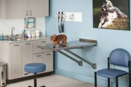 Se vende negocio de clínica de veterinaria en Madrid, 425,000 €