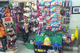For sale Pets and Accessories Store, 42,000 €